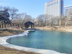 -万泉公园