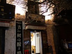 -古树酸奶(八廓南街店)