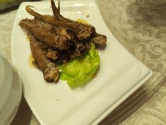 -阿英煲(凉城路店)