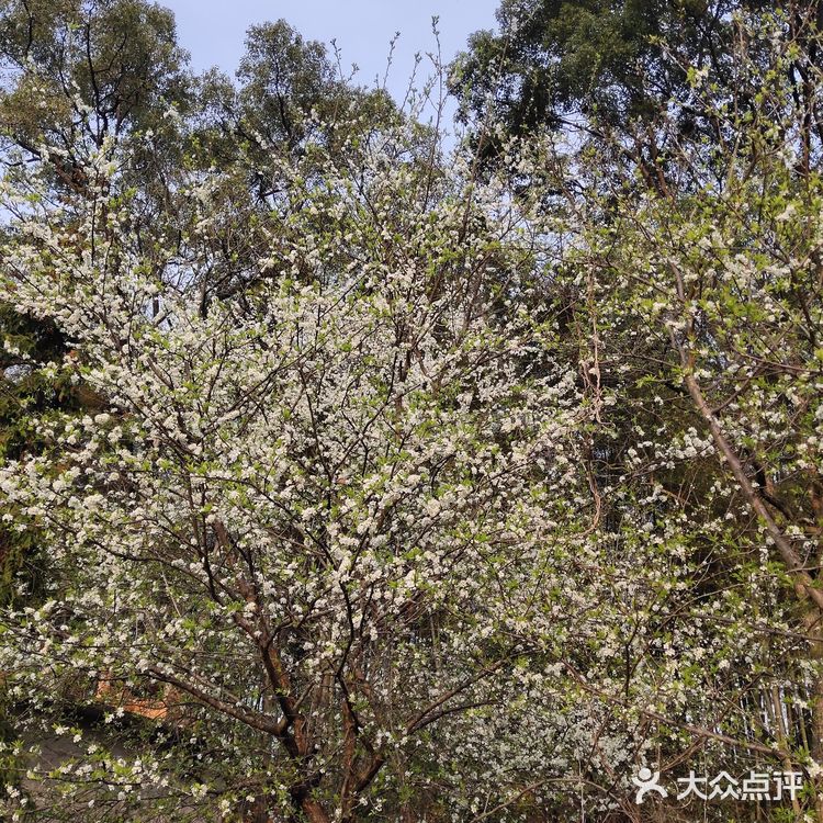 行云流水… 能够给人无尽的遐想和思念