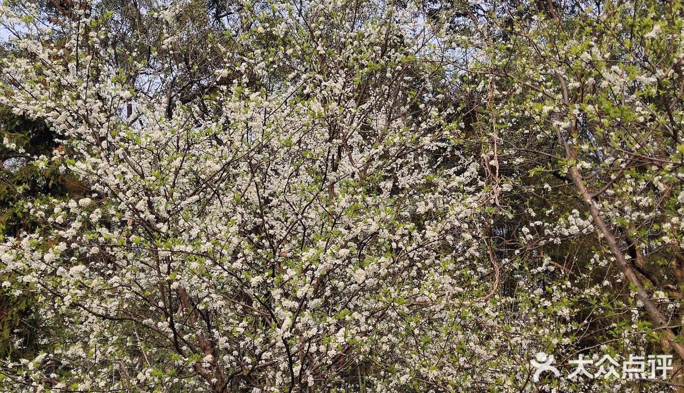 行云流水… 能够给人无尽的遐想和思念