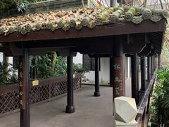 -重庆彩云湖湿地公园