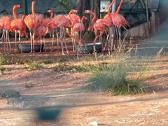 -鄂尔多斯野生动物园