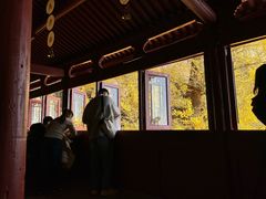 -大慈岩风景区