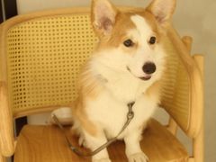 -花十悦·鲜花咖啡餐厅(振业城一期店)