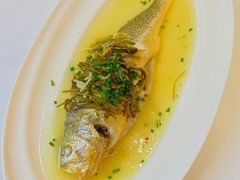 -老洋房花园饭店(绍兴路店)