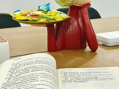 -青岛鸿发智越领克新能源中心