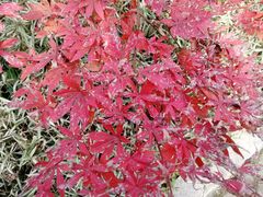 -苏州河梦清园环保主题公园