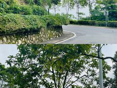 -火炉山森林公园