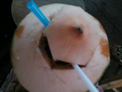 -Dash Teak House