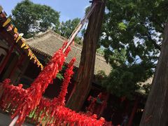 -少华山国家森林公园