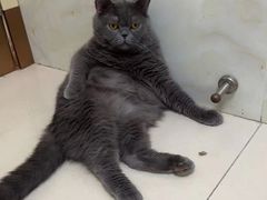 -宠颐生宠物医院·骨外科·犬猫全科诊疗中心(池州店)