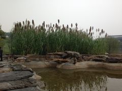 -鹦鹉寺公园