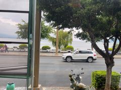 -野菌皇海景野生菌火锅(滨海大道店)