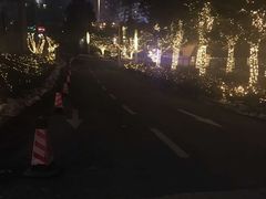 -武汉世茂希尔顿酒店·汇·全日餐厅