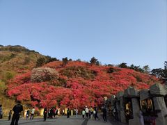 -木兰云雾山