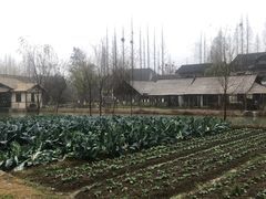 -乌村