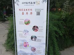 -杭州少年儿童公园
