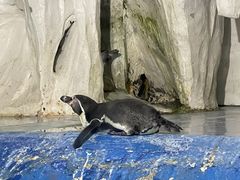 -太平洋海底世界