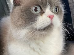 -北京赛佳动物医院