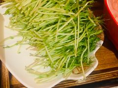 -大龙燚·旷野鲜火锅(广州首店)