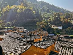 -杨家堂村