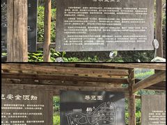 -杨家堂村