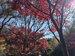 -和顺柏联温泉