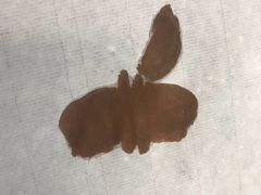 -六艺文化艺术机构