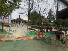 -陕西自然博物馆