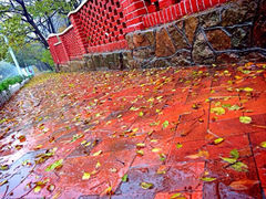 iphone_upload_pic-八大关景区