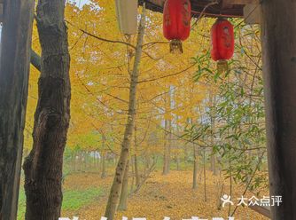 感谢饥饿让我选择了陈大姐