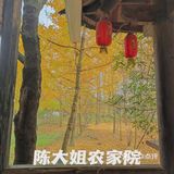 感谢饥饿让我选择了陈大姐