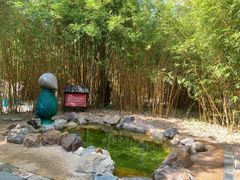 -森波拉火山温泉