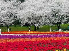 -苏州上方山国家森林公园