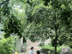 -鱼凫人家