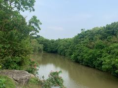 -上海海湾国家森林公园