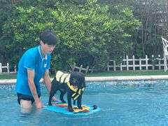 -汪说喵讲宠物乐园宠物酒店(红星美凯龙店)