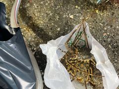-霞涌市场海鲜摆卖区