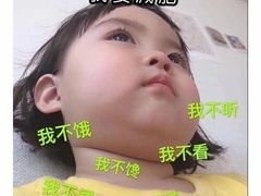-33韩式自助烧烤(环城南路店)