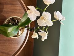 -南堂馆·新川菜(春熙路店)