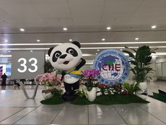 -上海浦东国际机场-T2航站楼