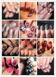 蕾丝全系列-艾妃罗高科美肤美甲美睫健康管理