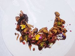 法式玫瑰炒鲜野生菌菇-PARFUM FLORAL花境法餐(南京首店)