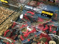 -明记海鲜大排档(巽寮湾店)