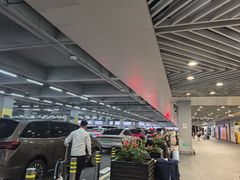 -上海浦东国际机场-T2航站楼
