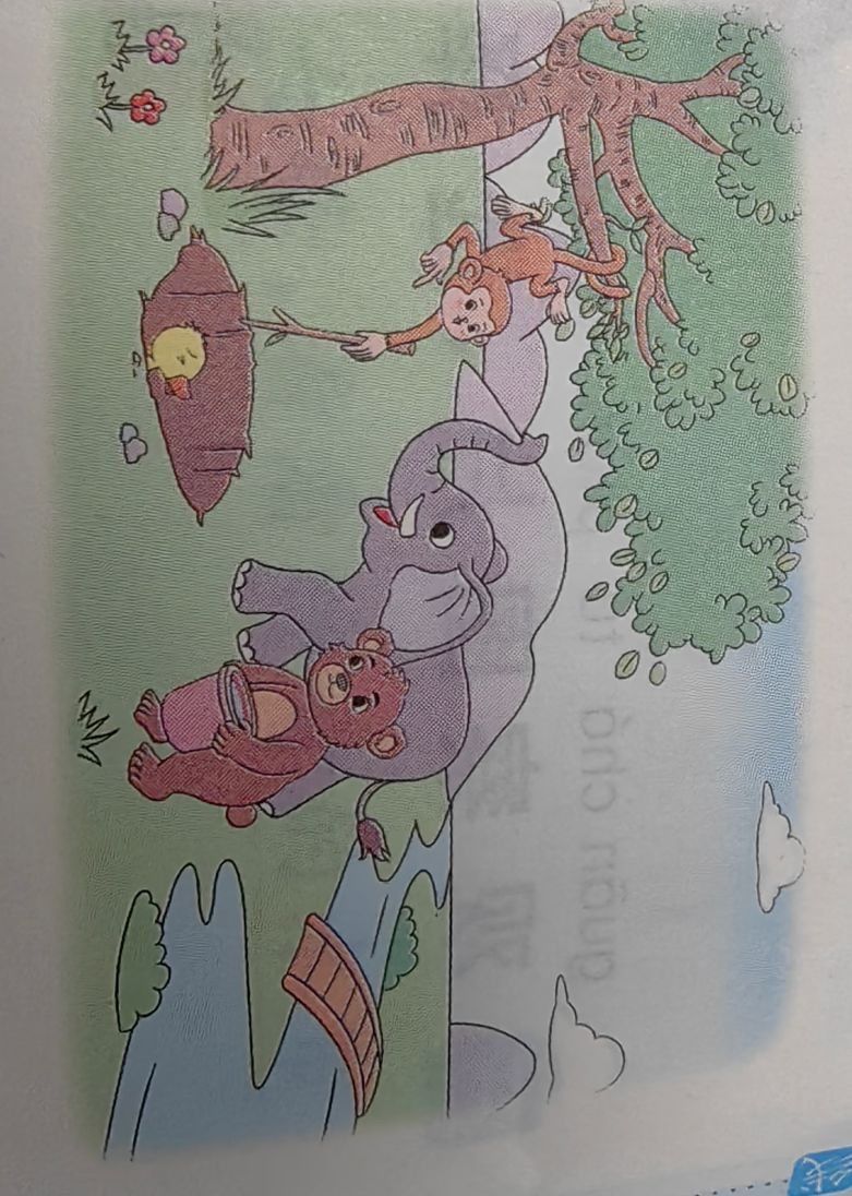 天天领红包这个是一年级下册还是二年级下册的看图写话,小鸭子掉进坑