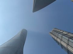 -The lounge 柏悦酒店大堂酒廊(上海环球金融中心店)