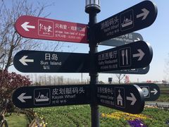 -荷兰花海