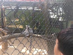 -广东茂名森林公园